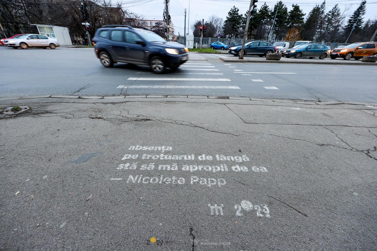 Poezie de stradă - Nicoleta Papp